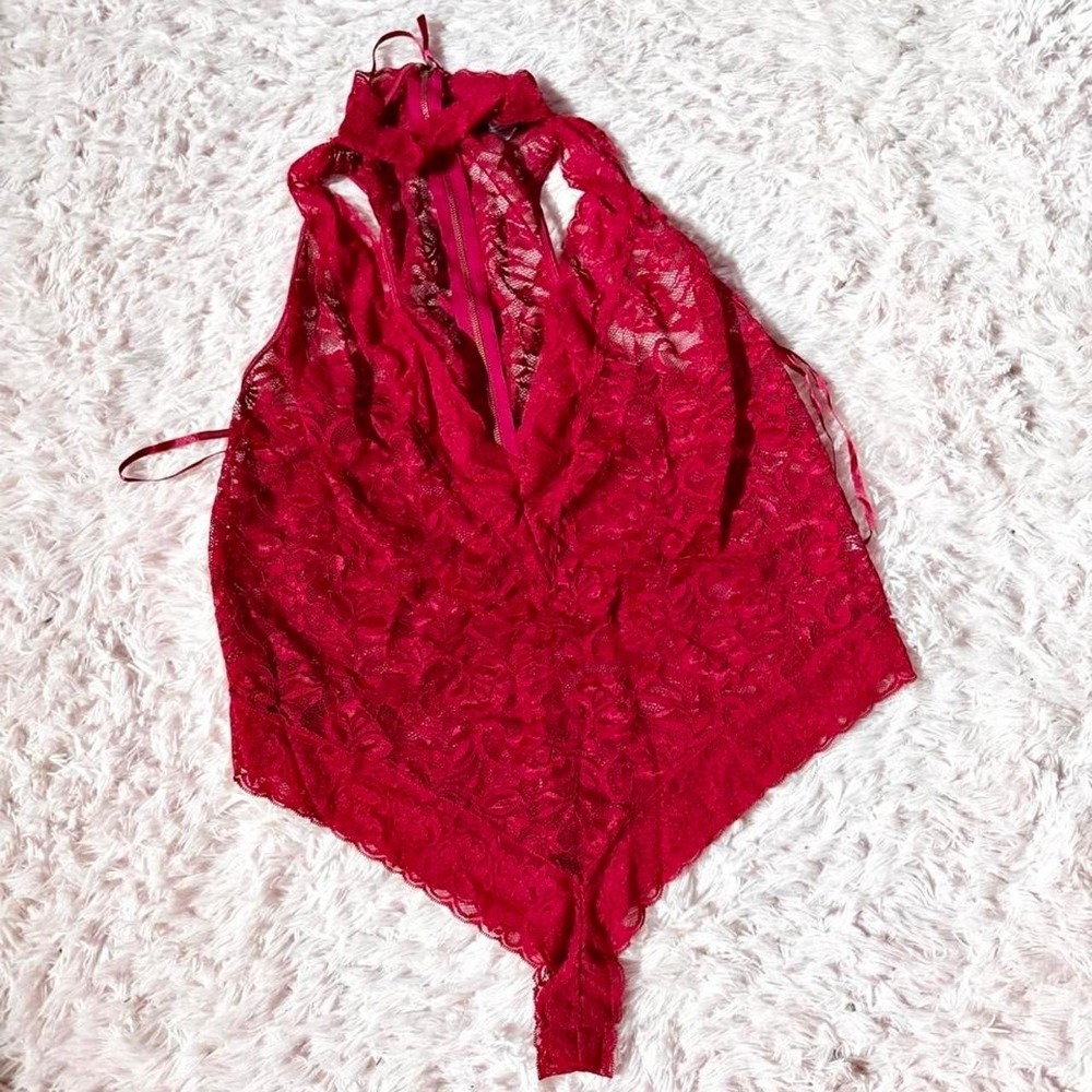 Sheer Romantic Lace Bodysuit Lingerie High Collar Sexy Womens 3X Academia Fairy